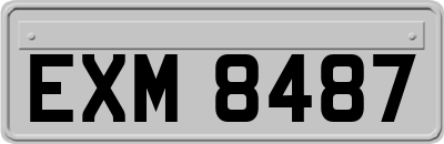 EXM8487