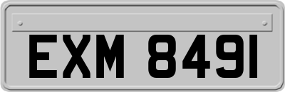 EXM8491