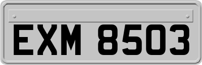 EXM8503