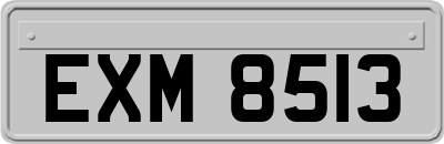 EXM8513