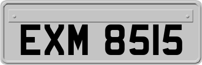 EXM8515