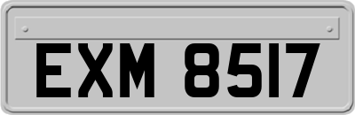 EXM8517