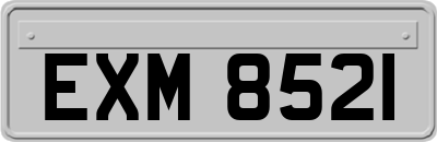 EXM8521