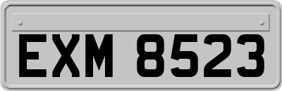 EXM8523