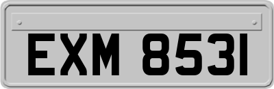 EXM8531