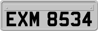 EXM8534