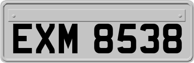 EXM8538