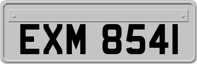EXM8541