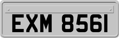 EXM8561