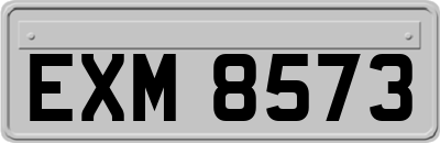 EXM8573