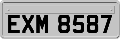 EXM8587