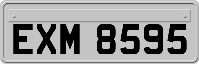 EXM8595