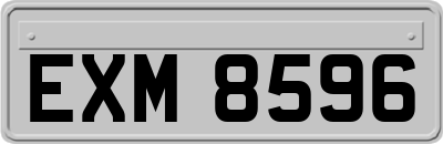 EXM8596