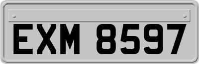 EXM8597