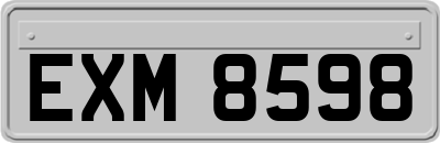 EXM8598