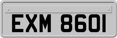 EXM8601