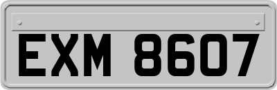 EXM8607