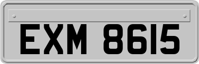 EXM8615