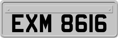 EXM8616