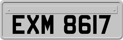 EXM8617
