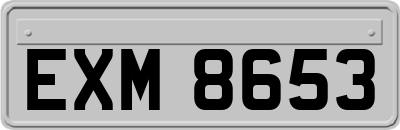 EXM8653
