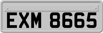 EXM8665