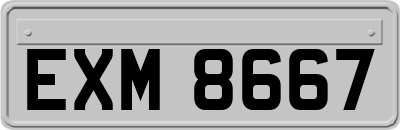 EXM8667