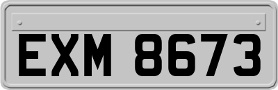 EXM8673