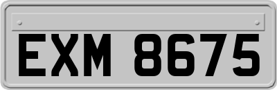 EXM8675