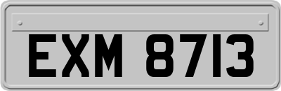 EXM8713