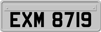 EXM8719