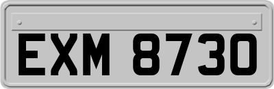 EXM8730