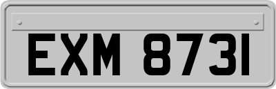 EXM8731