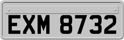 EXM8732