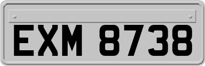 EXM8738