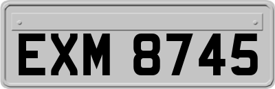 EXM8745