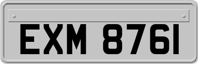 EXM8761