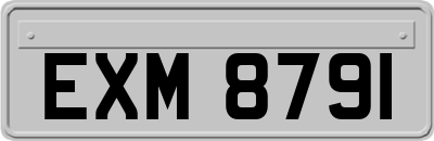 EXM8791