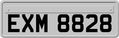 EXM8828