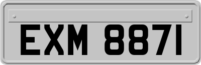 EXM8871