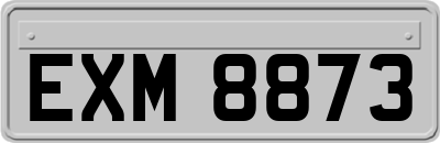 EXM8873