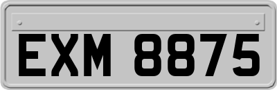 EXM8875