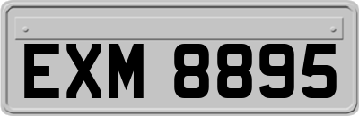 EXM8895