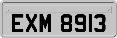EXM8913
