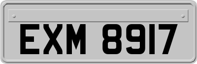 EXM8917