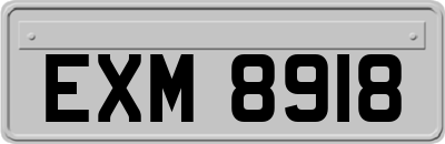EXM8918