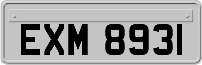 EXM8931