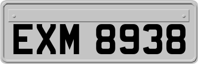 EXM8938