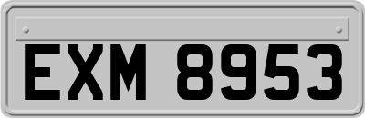 EXM8953