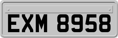 EXM8958